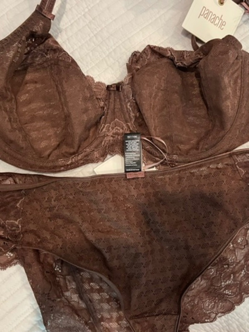 Panache Lace Bra and Cheeky Panties NWT.
